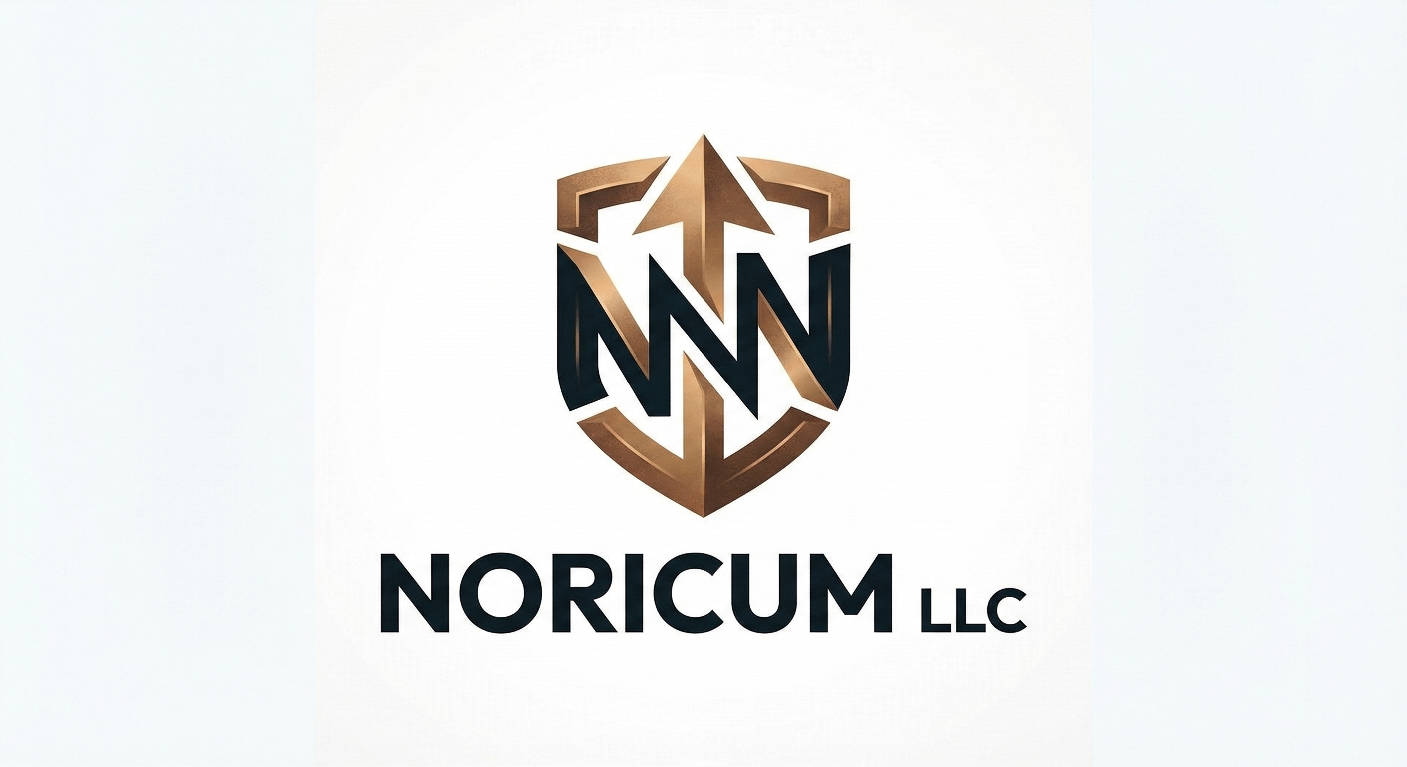 NORICUM LLC